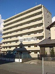 Ｍ’ｓ　ｄｒｅａｍX