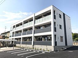 ＣｏｌｌＳｏｌｅｉｌ