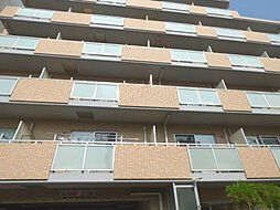 サニープレイス