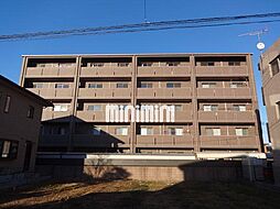 ＷＩＬＬ　ＧＲＡＣＥ