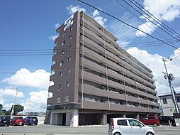 レブリアント板付