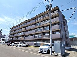 エメラルドグリーン白石中央