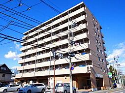 ロータスマーシュ元今泉