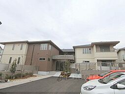 Ｆｅｌｉｓｅｅｄ　Ｐｒｕｇｎａ