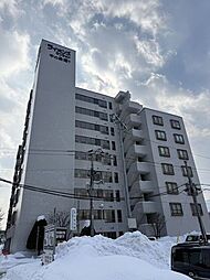 ライオンズマンション中の島通り