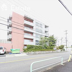 Ns21やごと