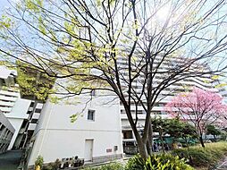 東白鬚第二マンション11号棟