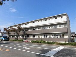 ウェイト　リヴィール