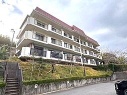 セラーリオコート鳥