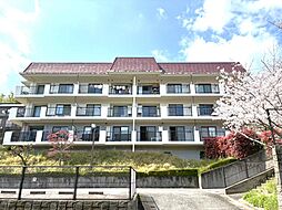 セラーリオコート鳥