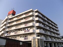 信開ウェラコート津内