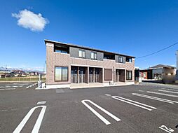 サンフラワー A