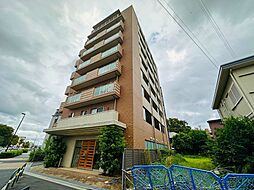 ベルドゥムール扇大橋2