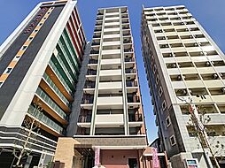 Ｃｏｃｃｉｎｅｌｌｅ