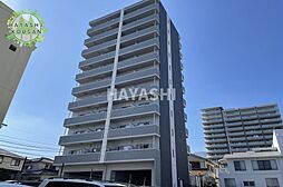 トレステーラ　プランドールVI