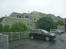 アルス宮の森シャンツェサイト