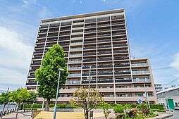 川口ティーブルー