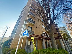 朝日プラザ善福寺