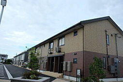 キキョウK.T／ツバキK.T　ツバキK.T