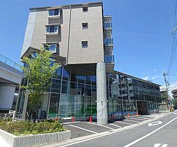 ルピナス・ヴィータ