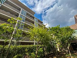 ルネ ファンタグラーレ府中是政