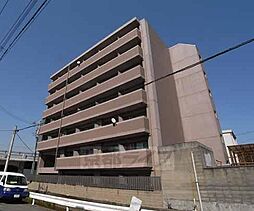 ティムール九条