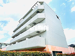 Stella　HashimotoII