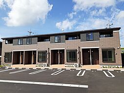 ラナンキュラス　II