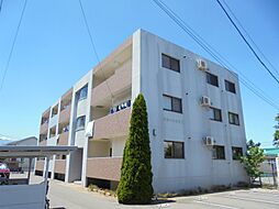 エコーハイツIII