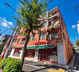 ライオンズマンション田園調布