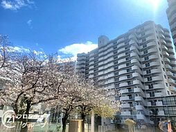 フェルティ・メイツ泉ヶ丘1番館