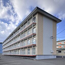 ビックハイツ305号リフォーム履歴あり