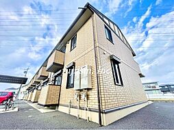 Rosemary/Marigold/Freesia　Marigold