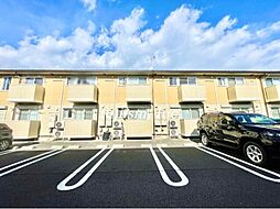 Rosemary/Marigold/Freesia　Freesia