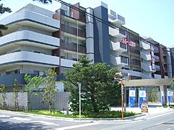 レクセル浜松弁天島（303）