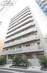 Ｄｏｒｍｏｕｓｅ　Ｆｉｎｅ