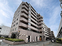 ルピナス多摩川