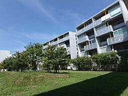 イエローフラット