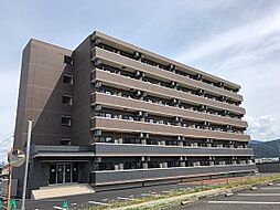サングレース