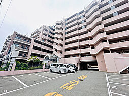 アンピール教育大前II