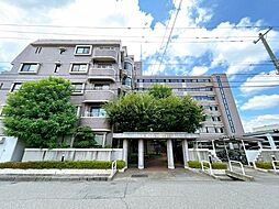 ロアール高木