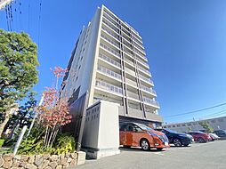 フェリス コート