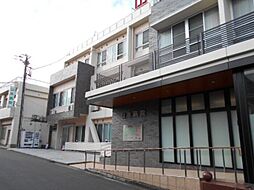 Stella 東平賀