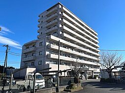 ドリーミー片浜