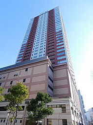 D’s Tower