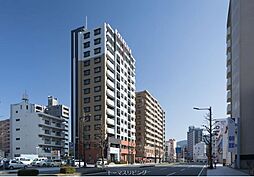 ヴィーラブライト