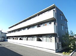 モルゲンロート　光