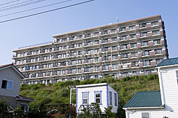 パープルシャトー眺望台