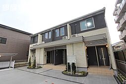 バーベナ（Verbena）