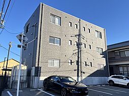 ＶＩＧＯＲＥ　Ｋａｍｉｈａｍａ